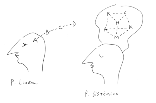 hemisferios del cerebro