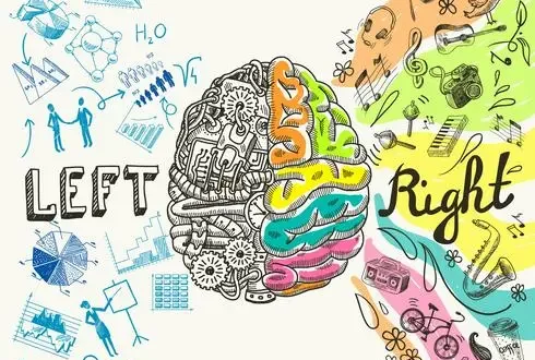 Lados del cerebro - hemisferios creativos